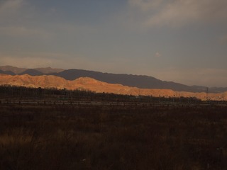 650356