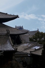971990FE-E208-4D61-8C02-403978F508D9/L0/001