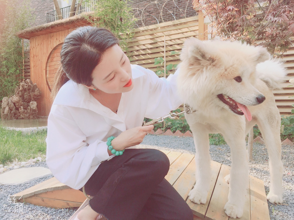 人物与动物的和谐