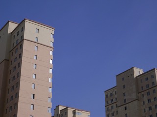 4246449