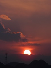 4234549