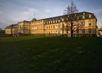 _IMG6310