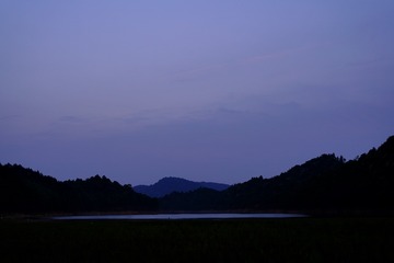 5039306