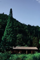 5206449