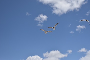 AF26E251-FE3F-4AA8-8C85-B6176CEB37EE/L0/001