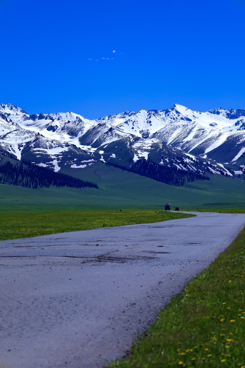 那拉提大草原在我国的新疆北部每个季节都有它独特的魅力在这里感受到