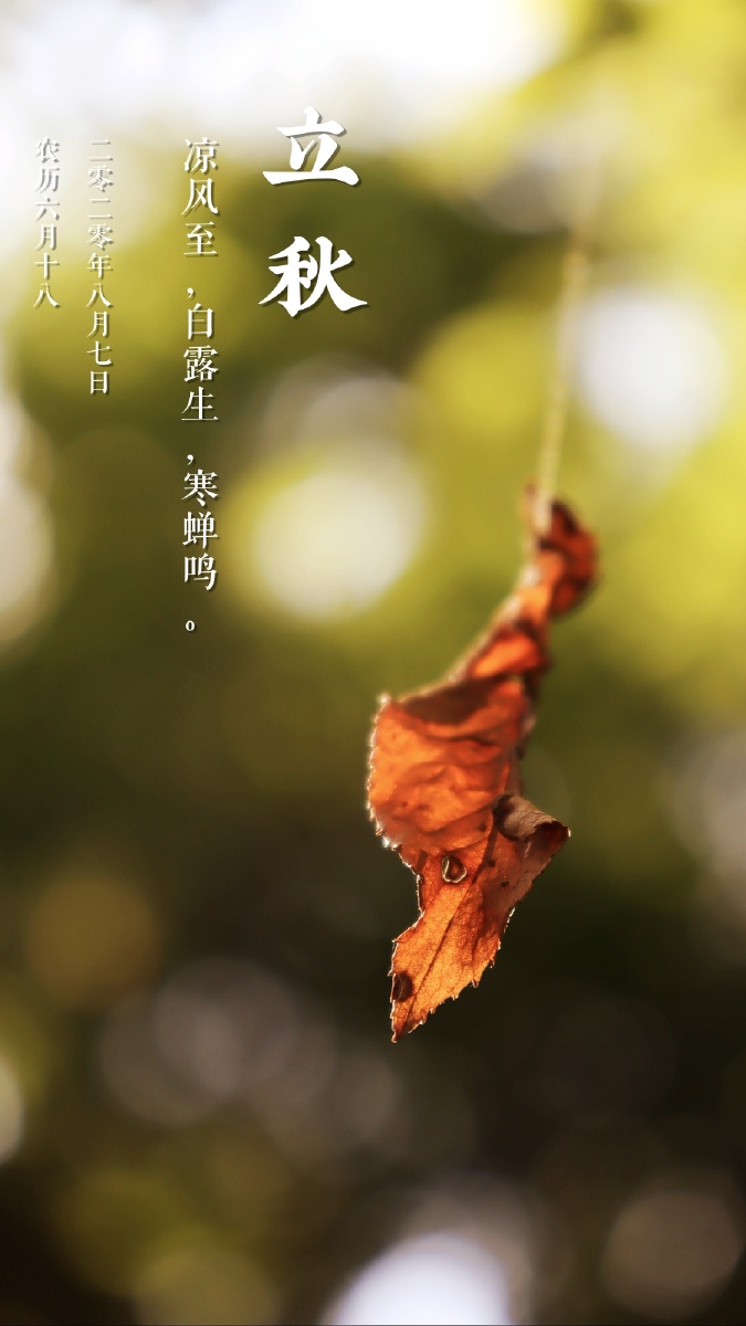 立秋今日立秋凉风至白露生寒蝉鸣