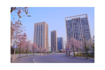 90F4A570-8FEA-4D83-91B4-6A12C4A1AA4B/L0/001