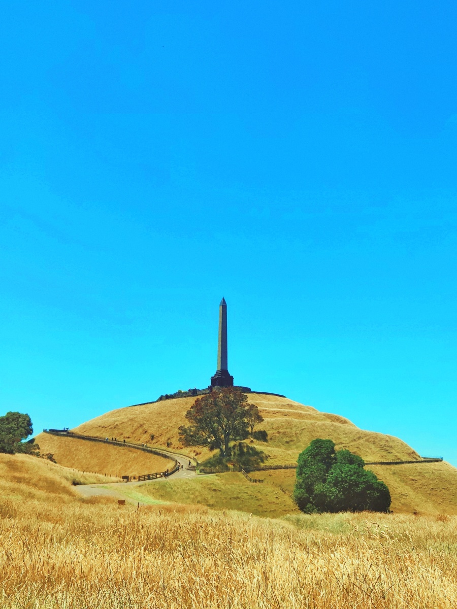 新西兰newzealand奥克兰auckland独树山onetreehill