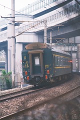 3241981