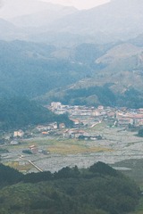 3350232