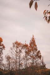 3320454