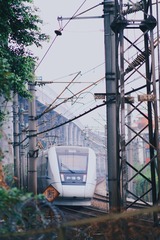 3241982