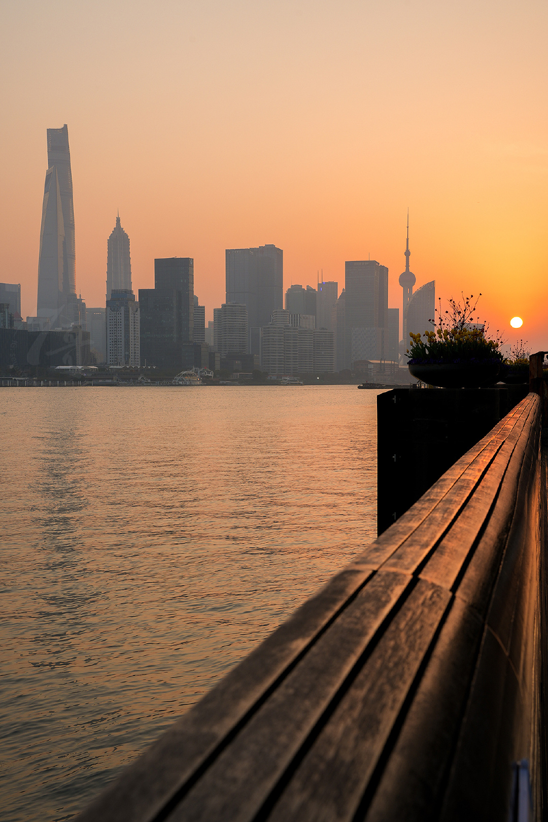 杨浦滨江的春天来啦