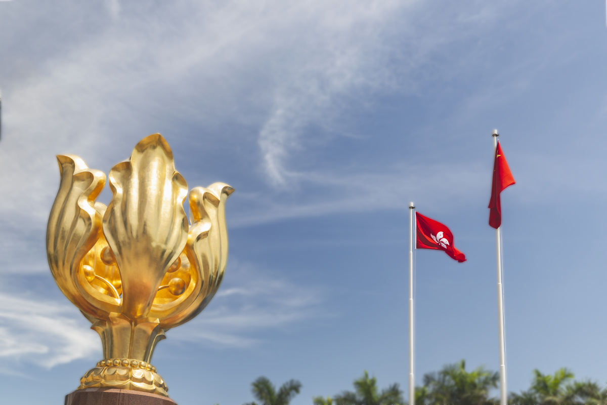 国旗掩映下的紫金花更艳丽