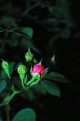 23499CB1-FA74-43CC-B97D-A7521E06A1C4/L0/001