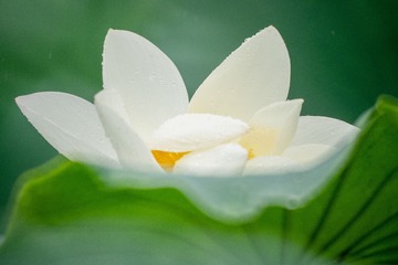 1274053