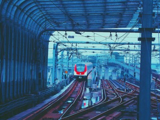3677917