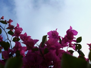 1C976C32-D335-4E18-98E4-EF828DAA9C15/L0/001