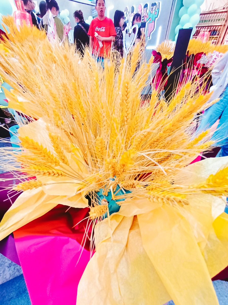 大麦(大卖) - 小旋风537 - 图虫