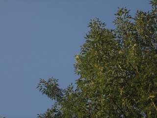 3174906E-5B0D-4698-B6F6-1B255FB98E01/L0/001
