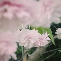 F3980040-C930-424E-B23A-C53240E57C97/L0/001