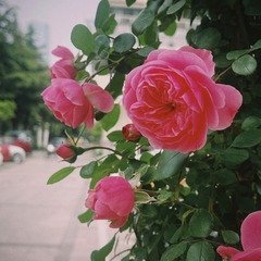 103C2301-2287-43CF-BBB2-9FDC055352D4/L0/001