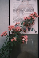 8DA66AF0-6E5E-446E-B10E-7713E2B554AE/L0/001