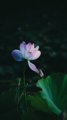 A0F06B3C-AA70-4971-90BB-6C03471EC5AC/L0/001