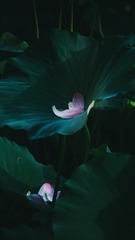 B482E4FD-B8F7-4B0A-8E7E-5EA9C18C389B/L0/001