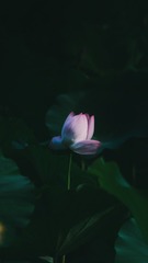 08093EAE-4D4D-406F-8580-C45DF627283C/L0/001