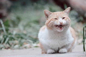 26351