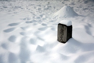 静园雪之二