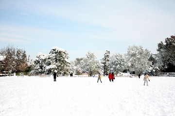 静园雪之三