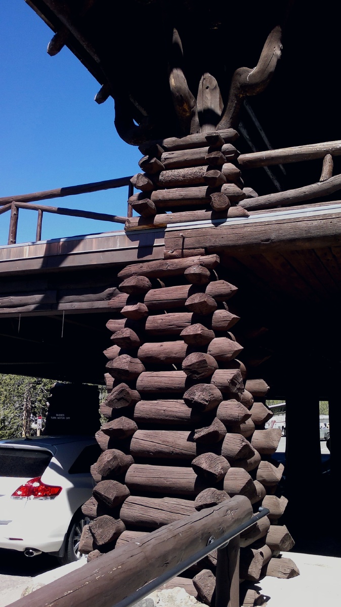 酒店大堂的木柱子黄石公园