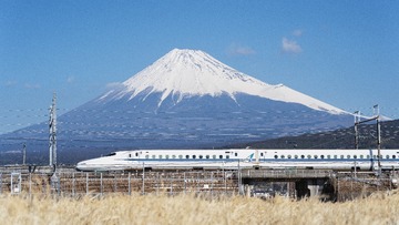 45861