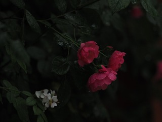 5FF44B70-6AF4-4BB0-88C3-F7924D642EBA/L0/001