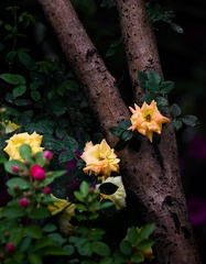 9F8A4C18-3D1D-4424-9282-14AA6561B26E/L0/001