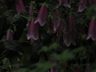 C028A8D2-D0AB-4B89-A7CC-1380E73A90D1/L0/001