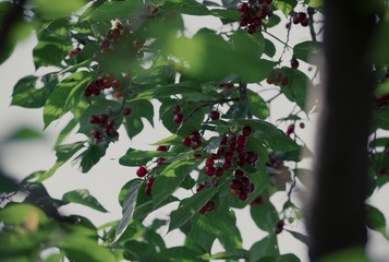 CF8D7BC8-59F0-41DD-8946-D18B42C6CBD0/L0/001