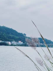7495F365-D582-4779-AC51-A924A7DDDD12/L0/001
