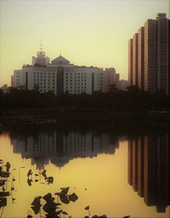 DSC_2932最早23999