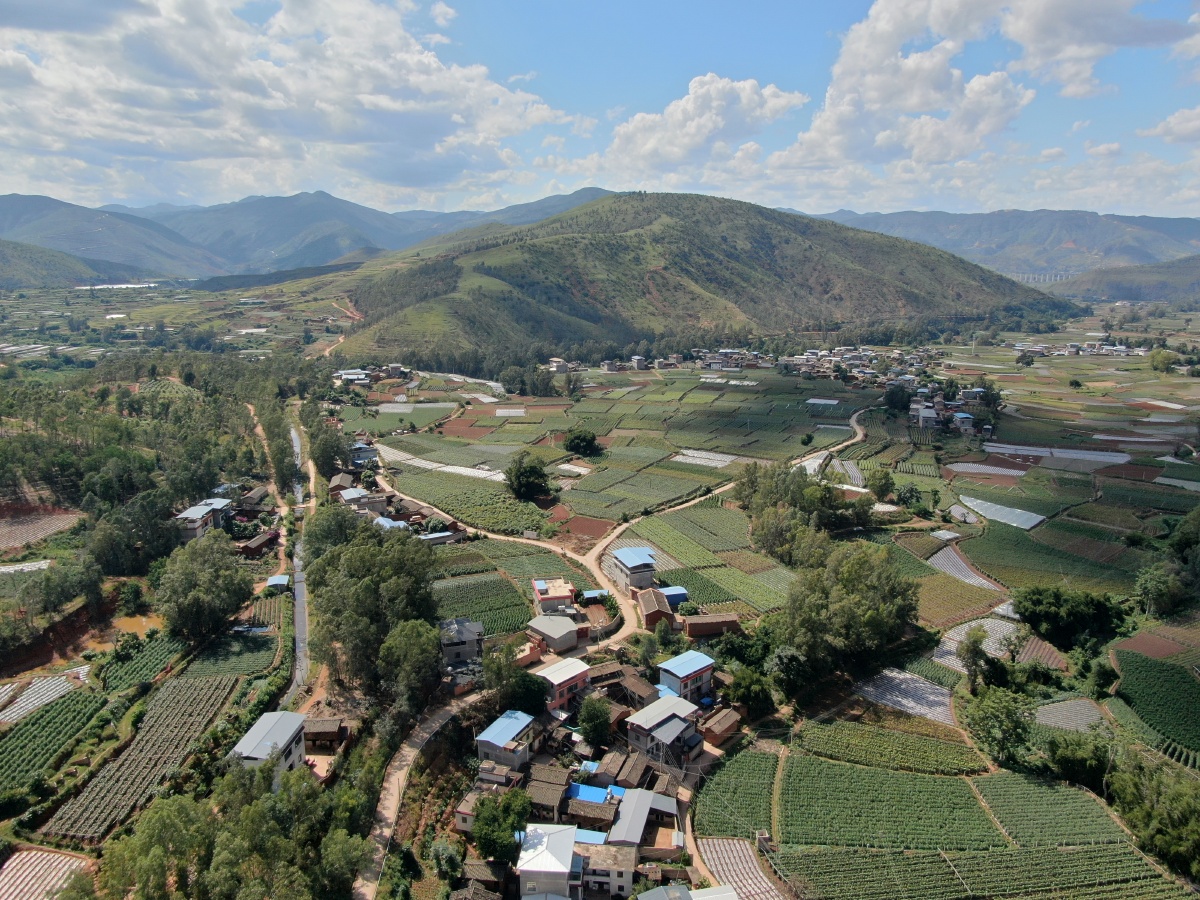 航拍中国南方农村