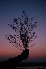 405609D7-DF2C-411F-9DBB-646881AE6F7C/L0/001