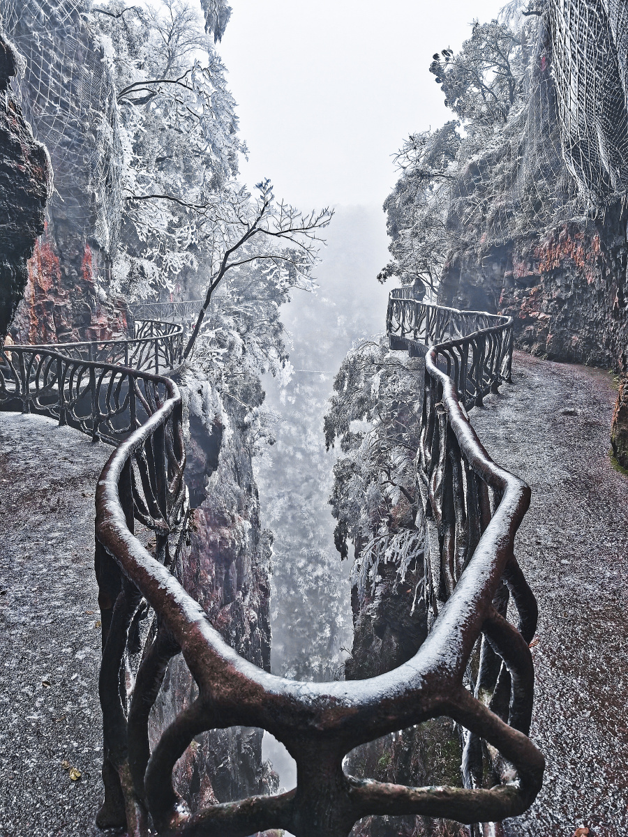 冬天的湖南张家界天门山树挂
