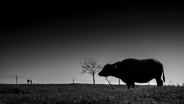 D5832476-050C-430E-879A-2F90731130EC/L0/001