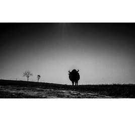 4DCB165F-A128-4994-AD68-A58B85E89B56/L0/001