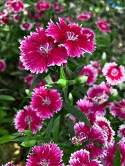 F3B5171C-3D0C-4112-A6BE-9FFE4D447BB4/L0/001