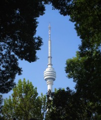 2957155