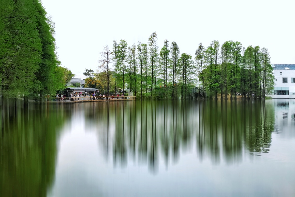 春天新绿湖光倒影